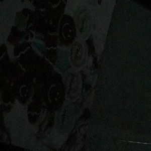 Meet your Posher, Loraine